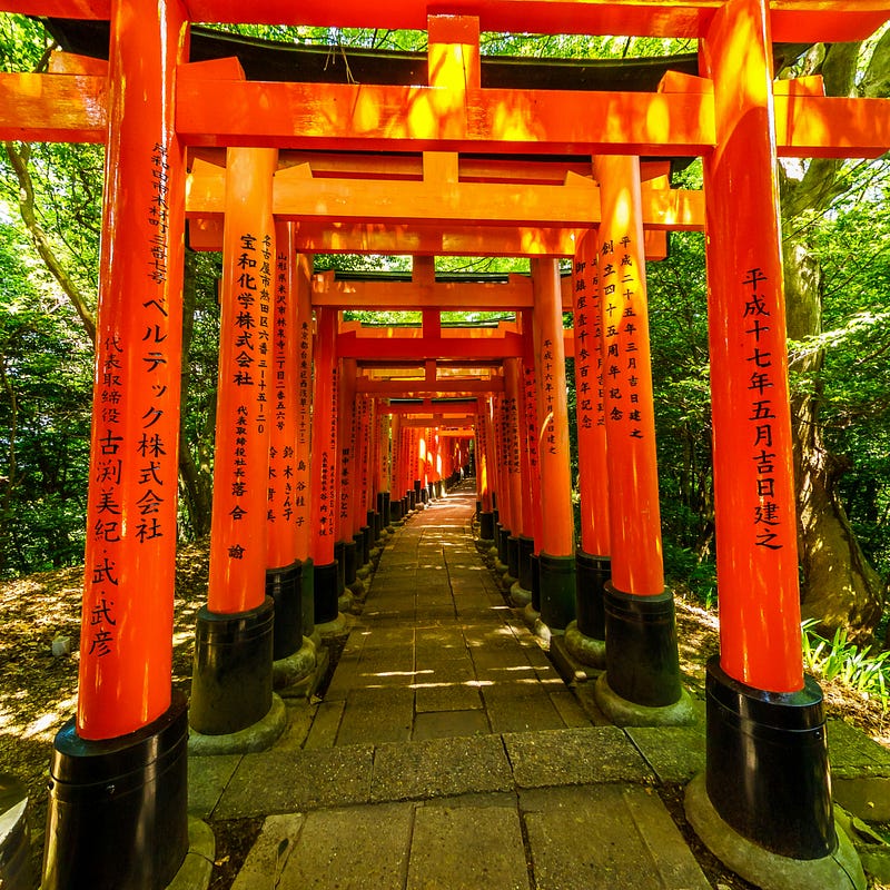 The Journey Up: A Lesson from Fushimi Inari